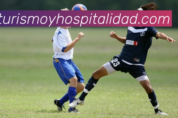 奖项证书
